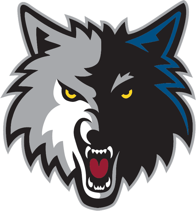 Minnesota Timberwolves 2008-2017 Alternate Logo iron on heat transfer